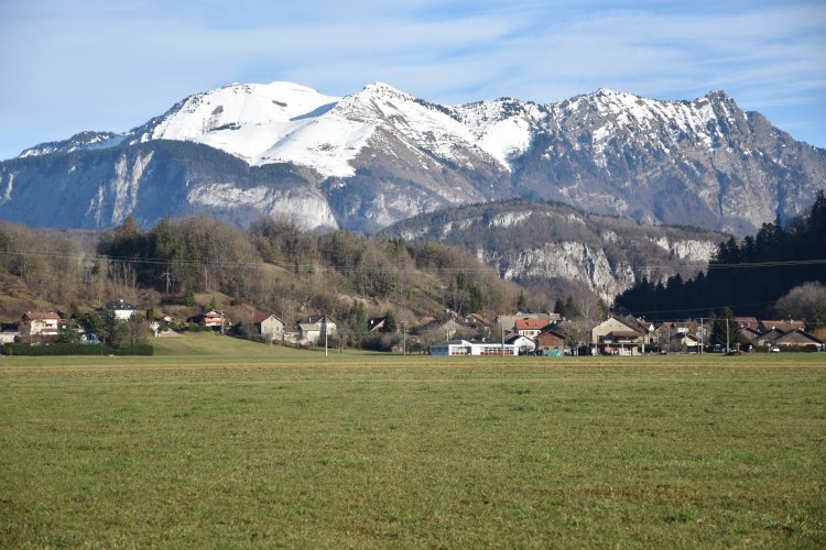 Proposition de loi sénatoriale visant à faciliter la mise en œuvre du principe de zéro artificialisation nette des sols (ZAN) dans les territoires
