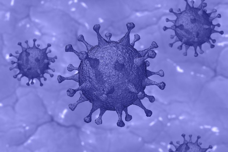Coronavirus et frontière suisse
